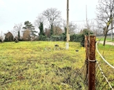 Eladó telek/földterület Tárnok 35 000 000 Ft