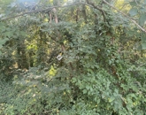 Eladó telek/földterület Dömsöd 4 000 000 Ft