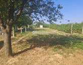 Eladó üdülő/nyaraló Kacsóta 6 500 000 Ft