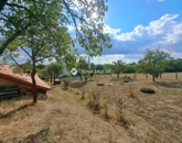 Eladó családi ház Nagyharsány 69 900 000 Ft