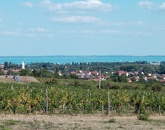 Eladó családi ház Csopak 125 000 000 Ft