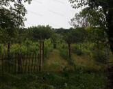 Ház Héregen, a Bikaréti dűlőben, szőlővel eladó