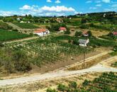 Elvehetetlen örök panorámás pince-présház