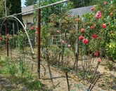 Eladó családi ház Biatorbágy 120 000 000 Ft