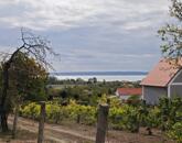 Építhető balatoni panorámás birtok eladó Lovason