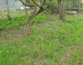 Zártkert Tatabányán