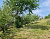 Eladó lakás Zalaegerszeg 57 000 000 Ft