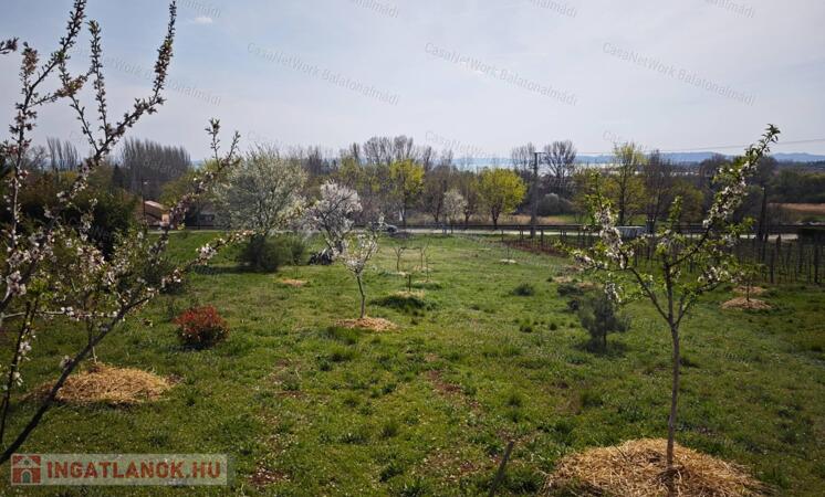 Eladó építési telek Csopakon