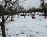 Eladó telek/földterület Tahitótfalu 26 000 000 Ft