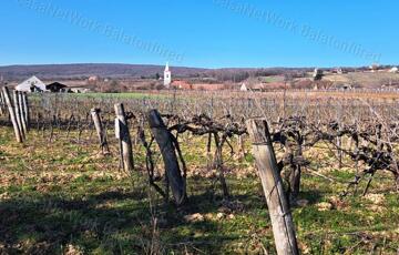 Eladó telek/földterület