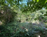 Eladó családi ház Szekszárd 55 000 000 Ft