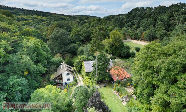 Ősfás birtok saját patakkal az erdő, a Nemzeti Park közepén