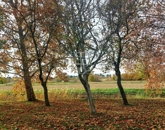 Eladó lakás Keszthely 53 000 000 Ft