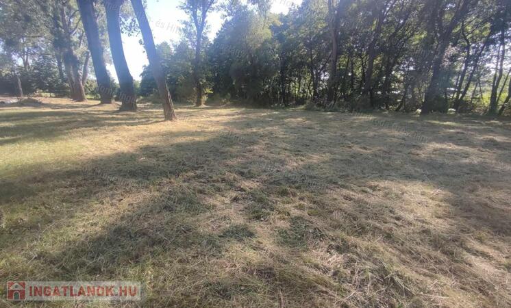 Oroszlány ipari park közelében ELADÓ 10125 nm terület