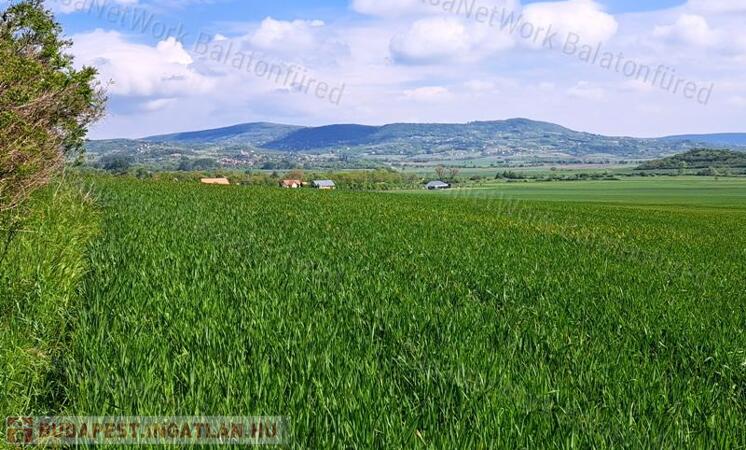 Kiváló helyen - eladó SZÁNTÓ MINDSZENTKÁLLÁN                                 