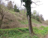 Eladó telek/földterület Zalaszentgrót 500 000 Ft