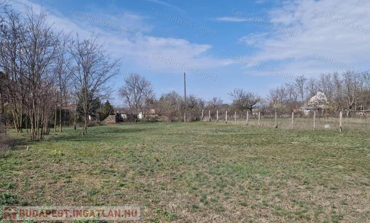 Cegléden telek eladó!                                 