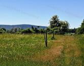Könnyű megközelíthetőség - eladó SZŐLŐTERÜLET BALATONAKALIBAN