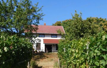 Eladó üdülő/nyaraló