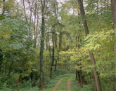 Eladó telek/földterület Bocfölde 10 900 000 Ft