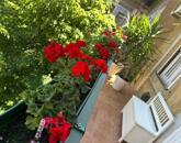 Eladó lakás Budapest VIII. ker 68 900 000 Ft