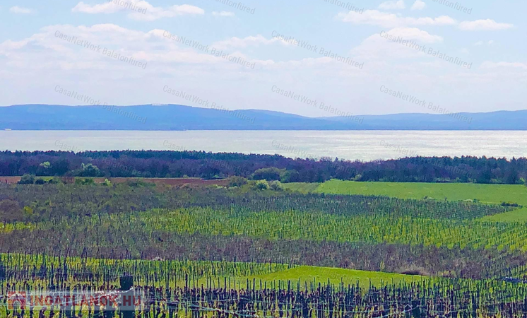 Csodálatos kilátást keresel a Balatonra? MEGTALÁLTAD !!