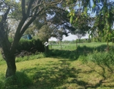 Eladó családi ház Nyugotszenterzsébet 5 600 000 Ft