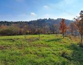 Panorámás, természetközeli ÉPÍTÉSI TELEK eladó CSERSZEGTOMAJON