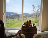 Balatoni panorámás nyaraló eladó Felsőörsön