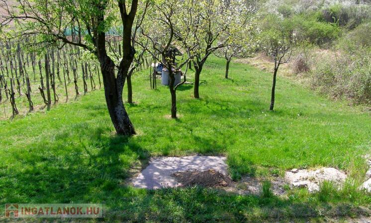 Ha csendre, nyugalomra vágyik, ne hagyja ki ezt az ajánlatot!