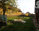 Eladó családi ház Kecel 18 000 000 Ft