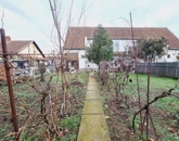 Eladó családi ház Békéscsaba 49 000 000 Ft