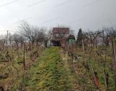 Eladó üdülő/nyaraló Zalaszentlászló 45 000 000 Ft