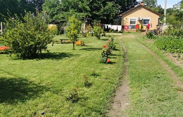 Eladó családi ház