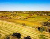 Eladó örök panorámás terület Óbudaváron! 2,3ha!