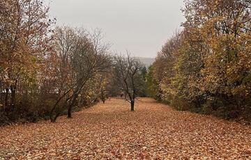 Eladó telek/földterület