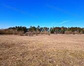 Gazdálkodásra, állattartásra alkalmas mezőgazdasági terület Barnagon