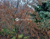 Eladó lakás Budapest II. ker 73 900 000 Ft