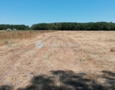 Eladó telek/földterület Vecsés 169 900 000 Ft