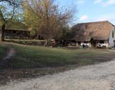 TATABÁNYÁN, közel 4 hektáros birtok akár ÉPÍTÉSI TELEKNEK eladó!