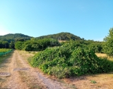 Eladó telek/földterület Szigliget 59 000 000 Ft