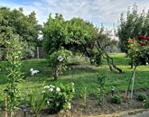 Eladó családi ház Kővágószőlős 82 900 000 Ft