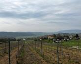 Eladó ÖRÖK PANORÁMÁS zártkert Óbudaváron! 3989nm!