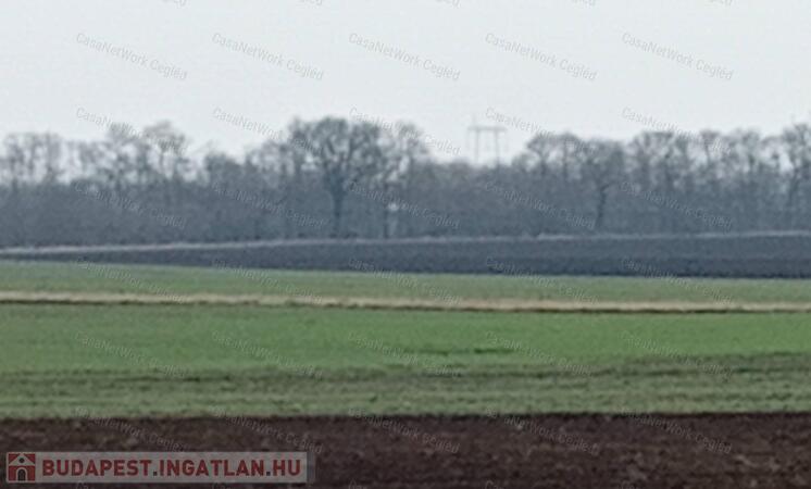 ELADÓ CEGLÉDEN 5.0399 HA SZÁNTÓ!                                 