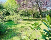 Eladó családi ház Szigetszentmiklós 135 900 000 Ft