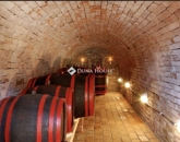 Eladó családi ház Villánykövesd 198 000 000 Ft