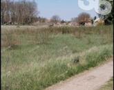 Eladó telek/földterület Kecskemét 21 000 000 Ft