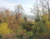 Eladó telek/földterület Zalabér 2 500 000 Ft