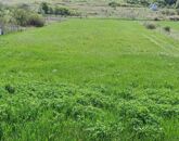 Eladó telek/földterület Varbó 5 500 000 Ft