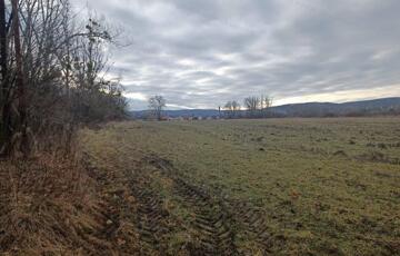 Eladó telek/földterület